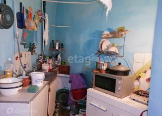 1-ком. квартира на продажу, 27.9 м2, Златоуст, улица Аносова, 251