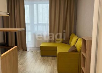 Сдается в аренду квартира студия, 24 м2, посёлок Садовый, микрорайон Околица, 2