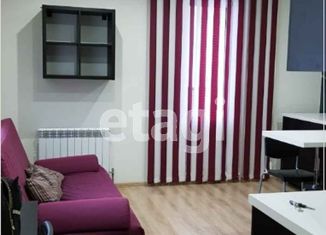 Сдаю квартиру студию, 28 м2, Новосибирск, метро Маршала Покрышкина, улица Фрунзе, 49/1