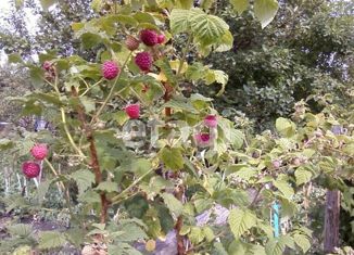 Продажа участка, 3.3 сот., Миасс