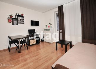 Квартира на продажу студия, 25.3 м2, Мурино, улица Шувалова, 23, ЖК Гринландия-2