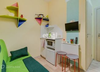 Сдается квартира студия, 14 м2, Санкт-Петербург, Сапёрный переулок, 4