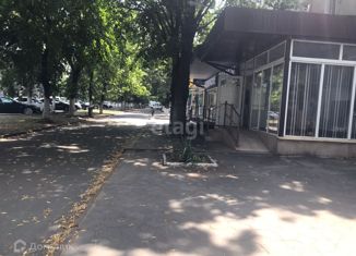 Продается однокомнатная квартира, 27.2 м2, Черкесск, проспект Ленина, 146