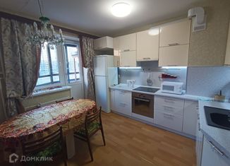 Сдам квартиру студию, 28 м2, Санкт-Петербург, Заречная улица, 45к2, метро Парнас