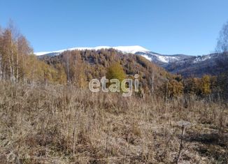 Участок на продажу, 3340 сот., село Усть-Кокса