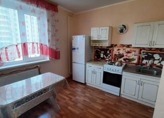 Сдается 1-комнатная квартира, 35.8 м2, Курск, проспект Вячеслава Клыкова, 79