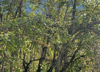 Продаю дом, 150 м2, село Сергей-Поле, Араратский переулок, 10