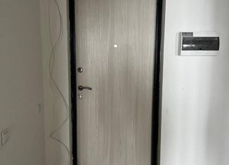 Продаю 1-комнатную квартиру, 45.4 м2, Санкт-Петербург, Парфёновская улица, 6к1, ЖК Променад