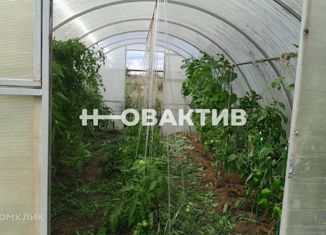 Продается дом, 20 м2, Новосибирская область, Зелёная улица, 88/2