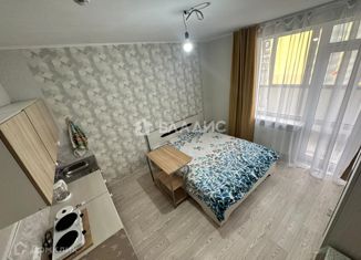 Продам квартиру студию, 23 м2, Мурино, Ручьёвский проспект, ЖК Гринландия-2