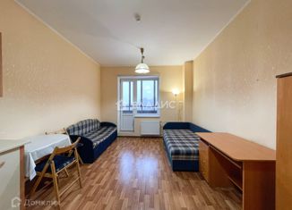 Сдаю квартиру студию, 25.4 м2, Санкт-Петербург, проспект Кузнецова, 14к2, Красносельский район