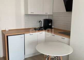 Квартира на продажу студия, 22.4 м2, Екатеринбург, улица Евгения Савкова, 17Б, ЖК Меридиан