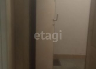 Сдам в аренду квартиру студию, 27 м2, Новосибирск, Петропавловская улица, 2, Петропавловская улица