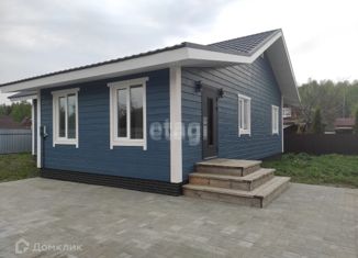 Продаю дом, 120 м2, село Гавшинка, Центральная улица, 8