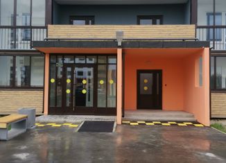 Продам 1-комнатную квартиру, 29.45 м2, Великий Новгород, Большая Московская улица, 132к2, ЖК Ивушки