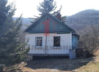 Продается дом, 25.6 м2, село Новая Сила, Центральная улица, 39