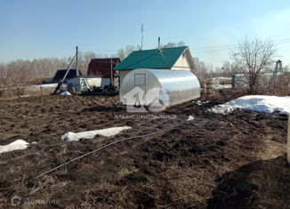 Продаю дом, 40 м2, СНТ Дружба