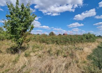 Продается земельный участок, 15 сот., станица Кривянская, Кооперативная улица