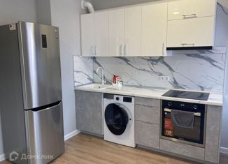 Сдается в аренду квартира студия, 24 м2, деревня Столбово, проспект Куприна, 38к1