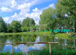 Продаю земельный участок, 55.33 сот., деревня Липуниха