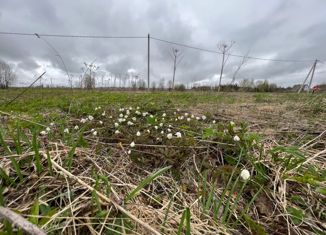 Продам участок, 16 сот., деревня Новая