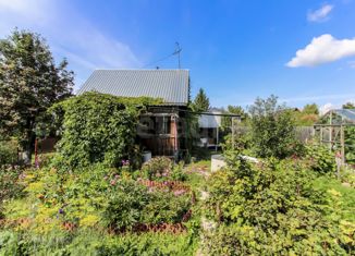 Продам дом, 20 м2, Тюмень, Центральный округ, Вишнёвая улица