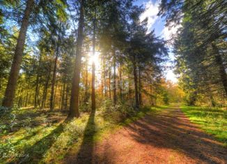 Земельный участок на продажу, 5 сот., село Горицы