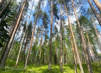 Продается участок, 7 сот., Куйвозовское сельское поселение