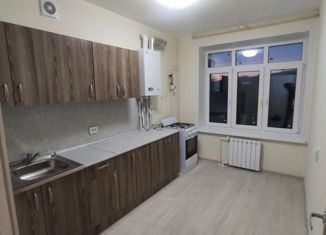 Однокомнатная квартира в аренду, 35.1 м2, посёлок Красный Бор, Большая Заозёрная улица, 33