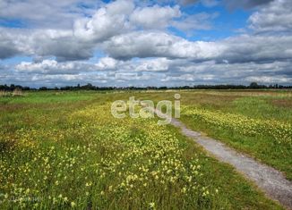 Земельный участок на продажу, 280 сот., деревня Василёво