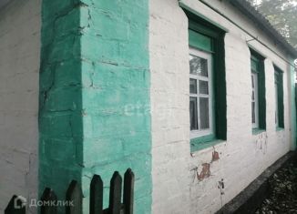 Продается дом, 31.3 м2, село Шелаево, Центральная улица