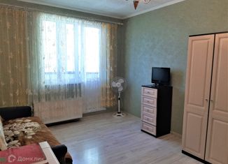 Сдаю в аренду квартиру студию, 27 м2, Мурино, Охтинская аллея, 14, ЖК Мой Город