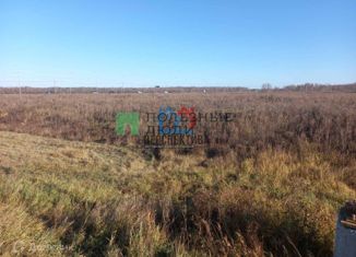 Продается земельный участок, 200 сот., село Ворогушино, Центральная улица