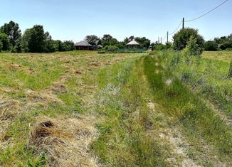 Продам земельный участок, 10 сот., село Ковалевское, улица Мичурина, 46