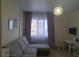 Квартира на продажу студия, 26 м2, Новосибирск, метро Октябрьская, улица Сакко и Ванцетти, 77