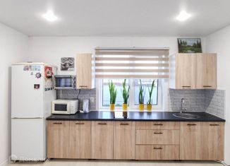 Продам дом, 100 м2, деревня Ракино, Троицкая улица, 42