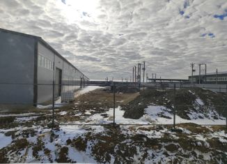 Продаю офис, 2466 м2, деревня Пески, Торгово-промышленная улица