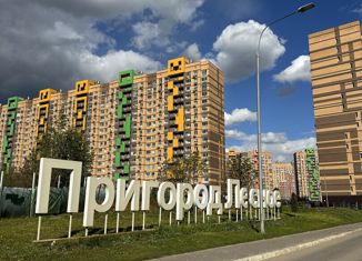 Продаю земельный участок, 12 сот., деревня Мисайлово, Первомайская улица, 248