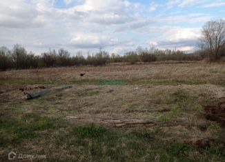 Продаю земельный участок, 15 сот., село Бизино, Набережная улица, 7