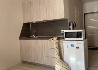 Квартира на продажу студия, 25 м2, Анапа, Таманская улица, 121к1, ЖК Бельведер