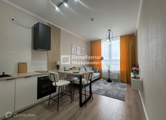 Сдача в аренду 1-ком. квартиры, 36.1 м2, посёлок Шушары, улица Нины Петровой, 6к1