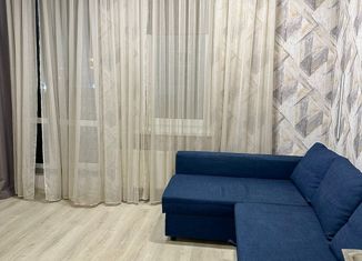 Сдается 1-комнатная квартира, 24.5 м2, деревня Кудрово, Пражская улица, 13