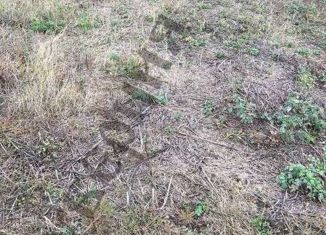 Земельный участок на продажу, 25 сот., село Беломестное, улица Александра Андросова