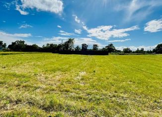 Земельный участок на продажу, 10 сот., село Ковалевское, улица Мичурина, 46