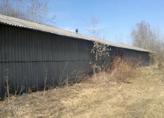 Земельный участок на продажу, 138 сот., деревня Медвежьи Озёра