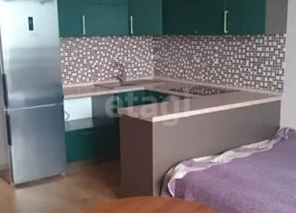 Продается квартира студия, 29.53 м2, Новосибирск, Лазурная улица, 28, Лазурная улица
