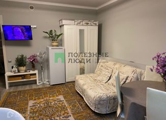 Продажа квартиры студии, 26.81 м2, Курган, Заозёрный район, 7-й микрорайон, 24