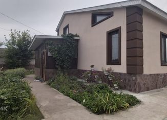 Продам дом, 222 м2, деревня Нуркеево, улица Мира