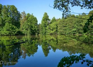 Продаю участок, 6.33 сот., деревня Скурыгино