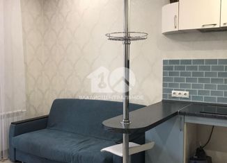 Продаю квартиру студию, 24.4 м2, Новосибирск, 2-я Обская улица, 154, метро Речной вокзал